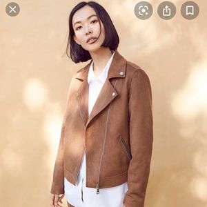 LOFT Suede Moto Jacket in Dark Brown